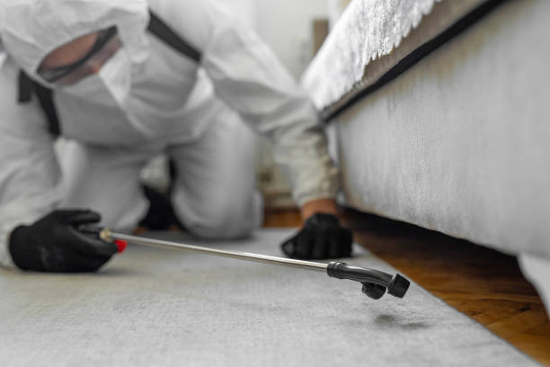 Professional Cockroach Control technician working in St. Rose, LA
