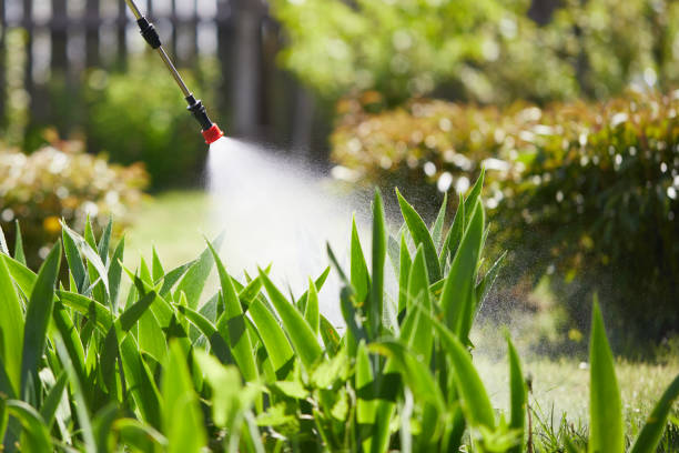 24/7 Emergency Cockroach Control experts in St. Rose, LA