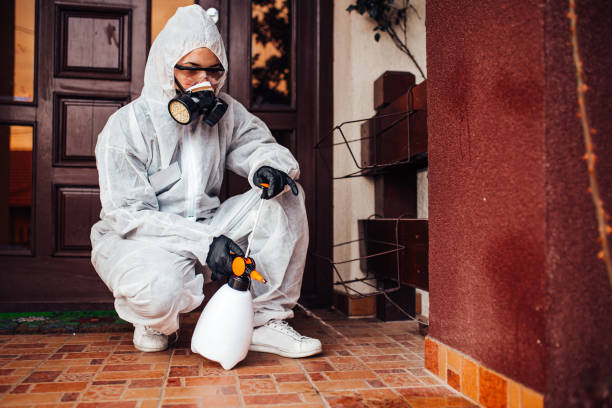 Reliable Cockroach Control contractor in St. Rose, LA by Nex Pest Control